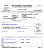 Form_5500_2024_sm